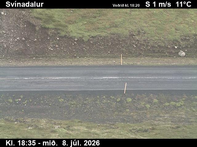 Snapshot from Svínadalur — Svínadalur séð niður á veg