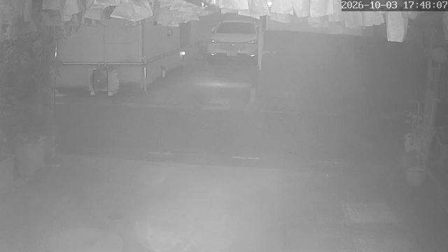 Screenshot from 27.94.8.105:554