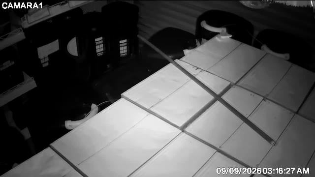 Screenshot from 189.188.247.123:554