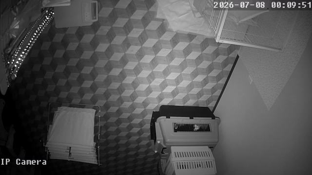 Screenshot from 210.165.210.49:554