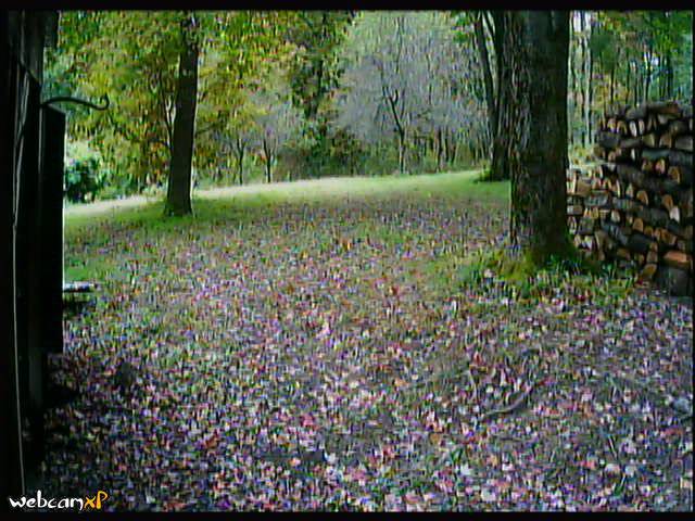 Screenshot from 184.57.102.6:8800