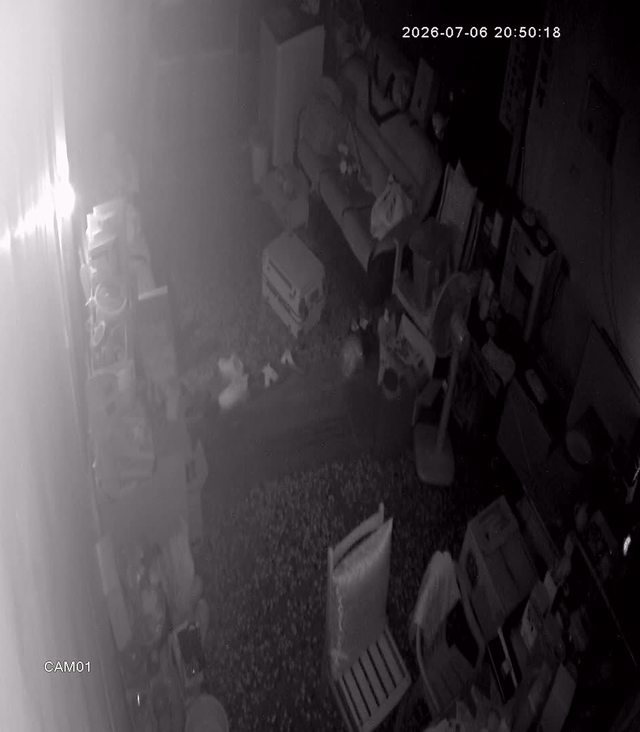 Screenshot from 218.32.105.115:554
