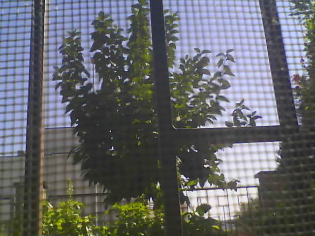 Screenshot from 93.70.75.52:3128