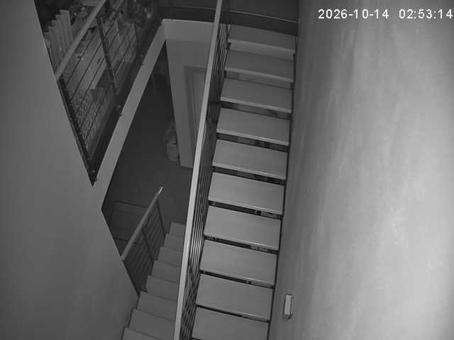 Screenshot from 77.240.230.28:2101