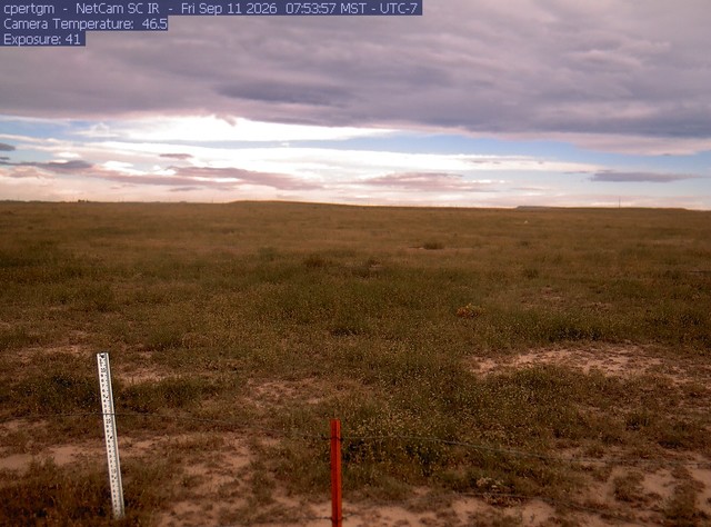 Screenshot from 166.211.42.241:80