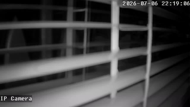 Screenshot from 78.99.2.172:554