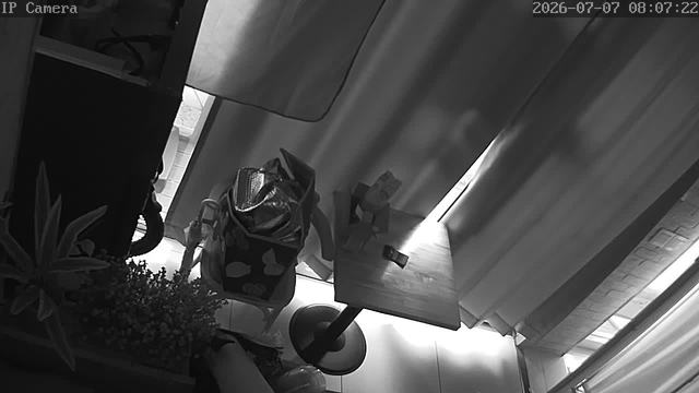Screenshot from 58.126.14.108:554