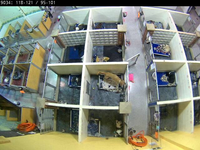 Screenshot from 75.144.65.158:9034