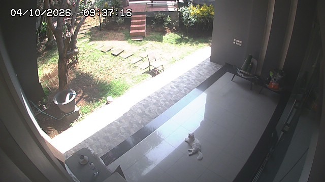 Screenshot from 36.50.143.172:8030
