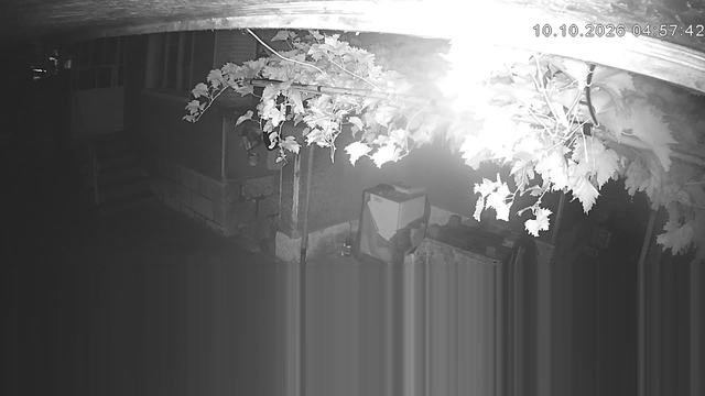 Screenshot from 178.217.89.104:554