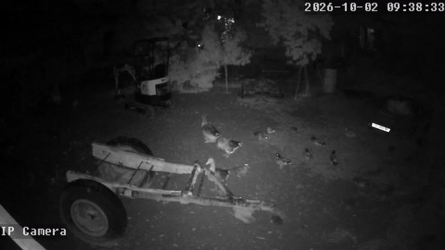 Screenshot from 93.23.70.131:554