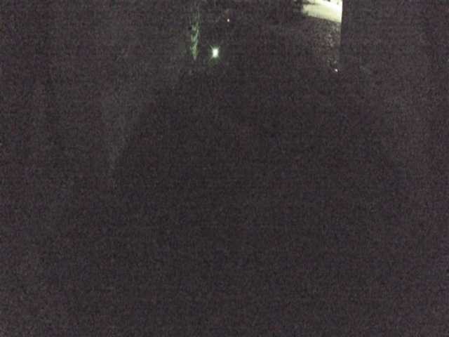 Screenshot from 77.7.157.151:8081