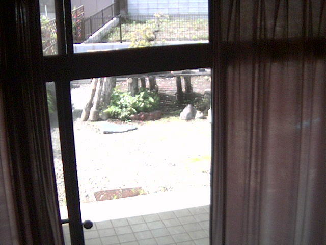 Screenshot from 39.110.94.59:12350