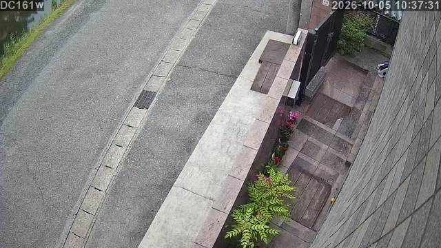 Screenshot from 124.255.242.16:554