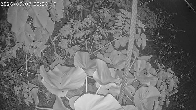 Screenshot from 111.70.35.45:80