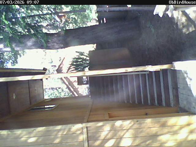 Screenshot from 47.208.84.19:1026