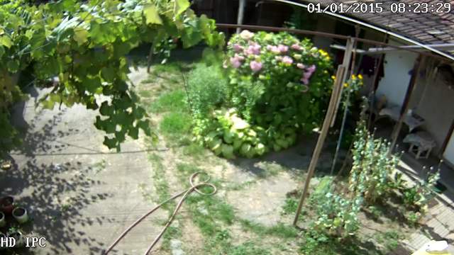 Screenshot from 5.13.1.168:8554