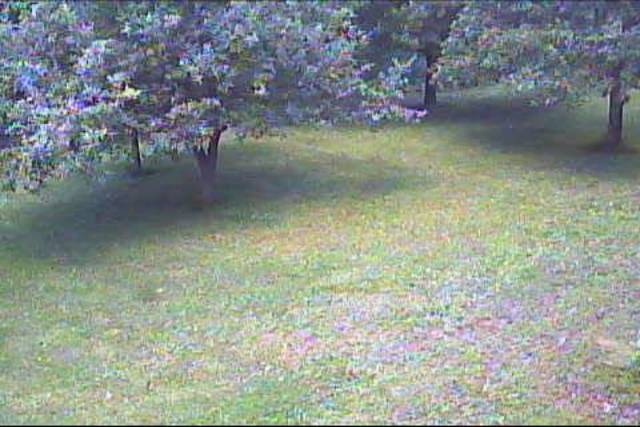 Screenshot from 184.57.102.6:6565