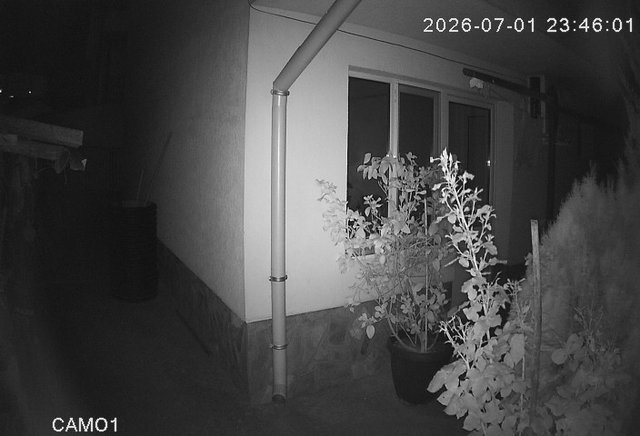 Screenshot from 151.251.160.69:8813