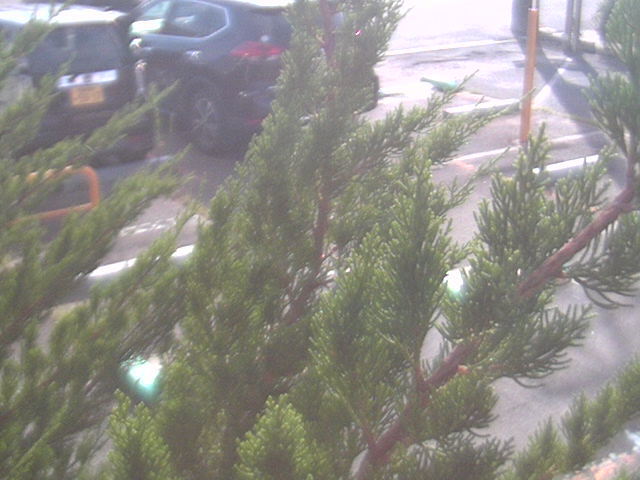 Screenshot from 119.242.68.65:86