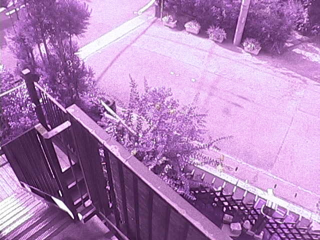 Screenshot from 122.197.248.24:60001