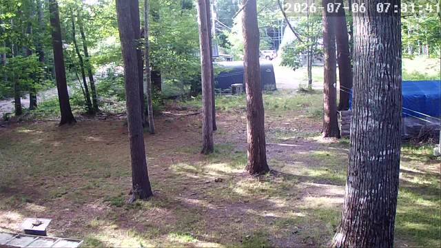 Screenshot from 24.222.254.93:554