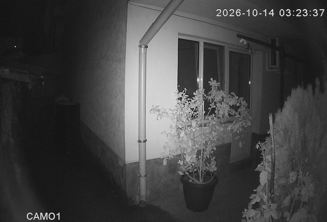 Screenshot from 151.251.160.69:8550