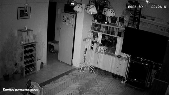 Screenshot from 176.37.17.5:554