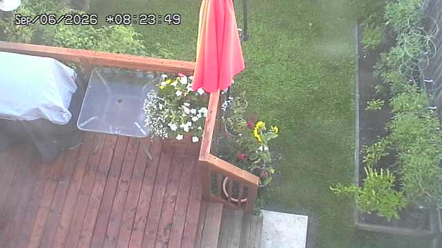 Screenshot from 104.247.240.252:2222