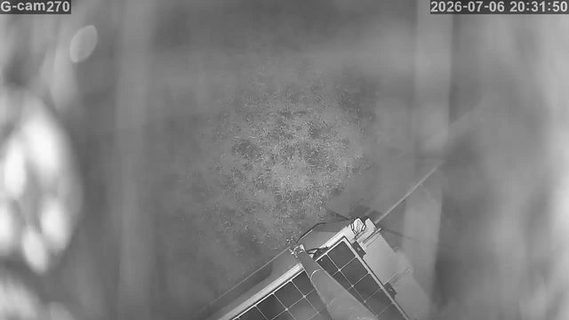 Screenshot from 124.255.18.22:554