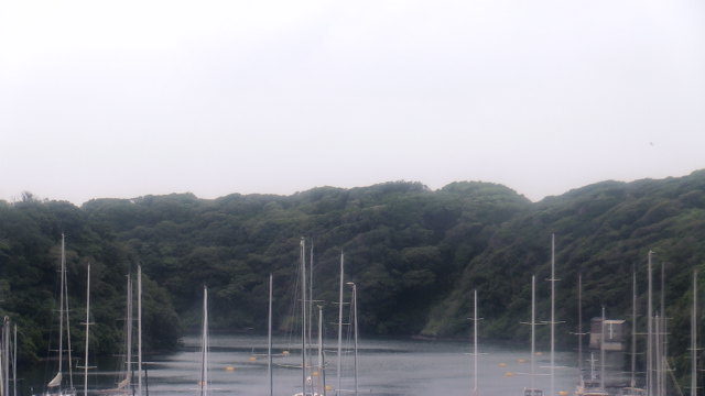 Screenshot from 118.22.48.106:443