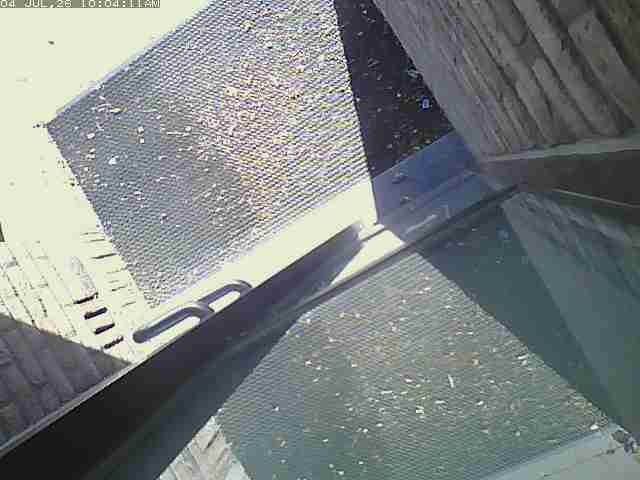 Screenshot from 81.244.43.113:50000