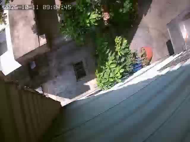 Screenshot from 211.73.182.230:554
