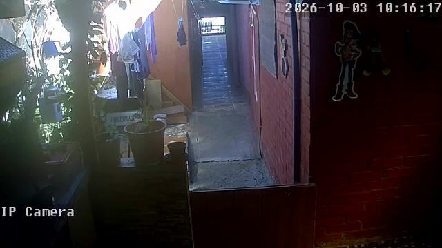 Screenshot from 200.113.137.106:554