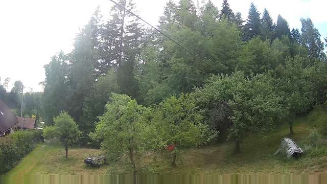 Screenshot from 78.80.134.89:554