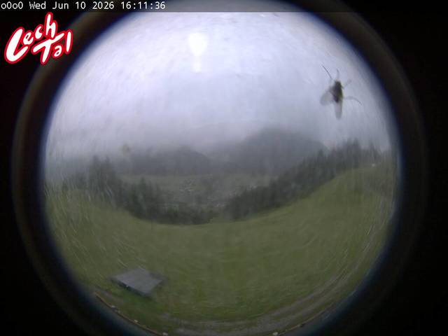 Screenshot from 83.218.167.67:883