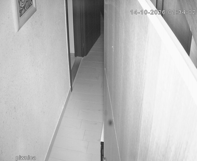 Screenshot from 176.111.18.51:1029