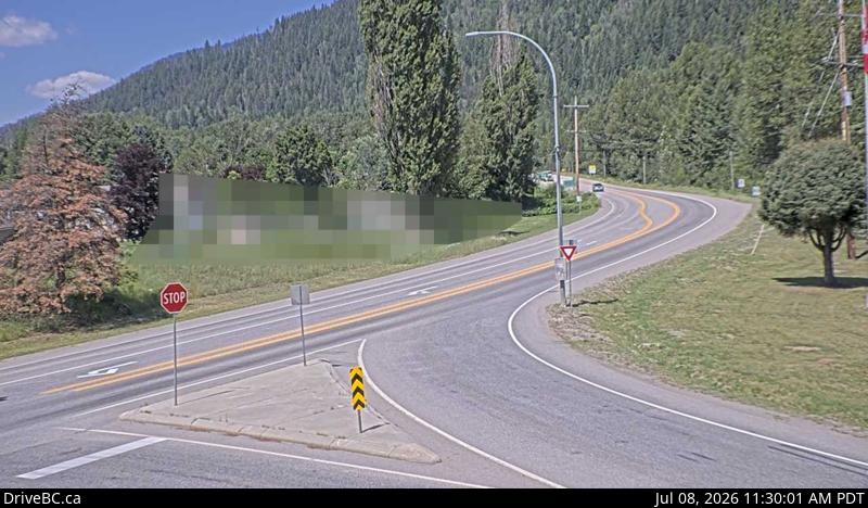 Snapshot from Salmo