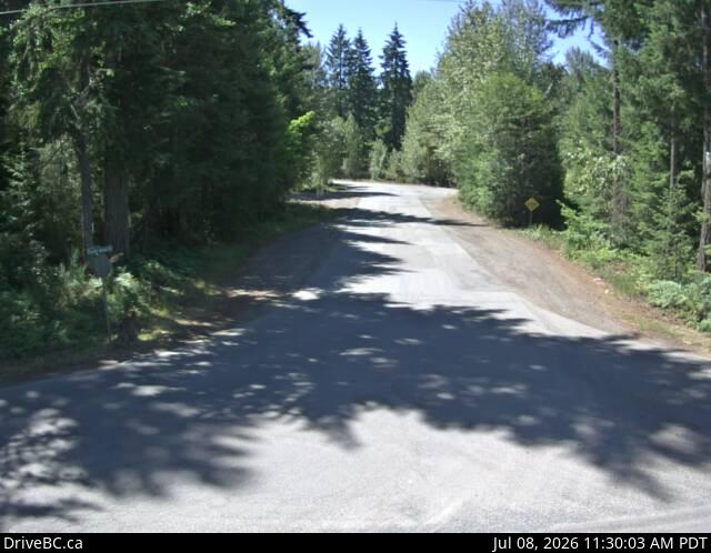 Snapshot from South Cowichan Lake