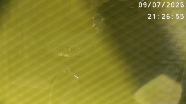 Screenshot from 5.26.172.20:9000
