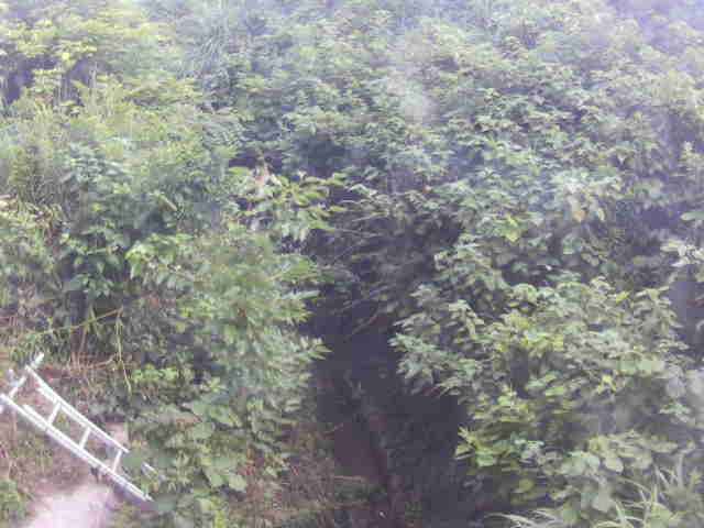 Screenshot from 133.159.112.29:8080