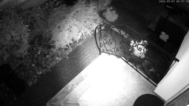 Screenshot from 89.0.132.205:554