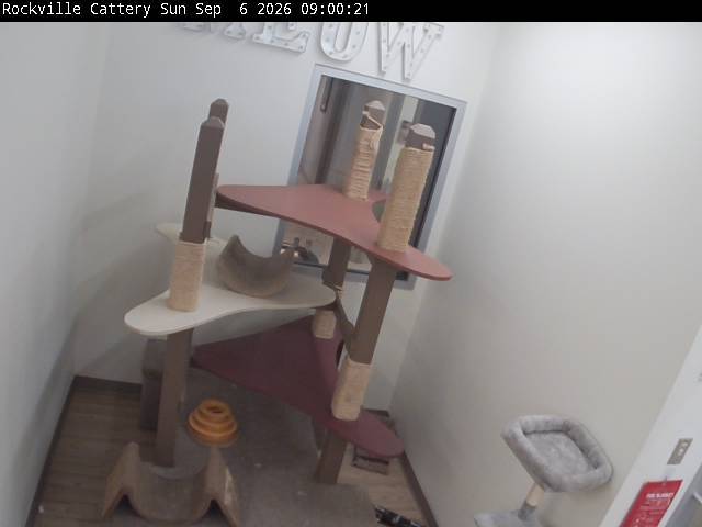 Screenshot from 96.86.48.137:9031