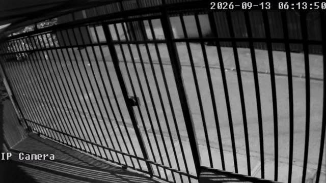 Screenshot from 186.156.1.208:554