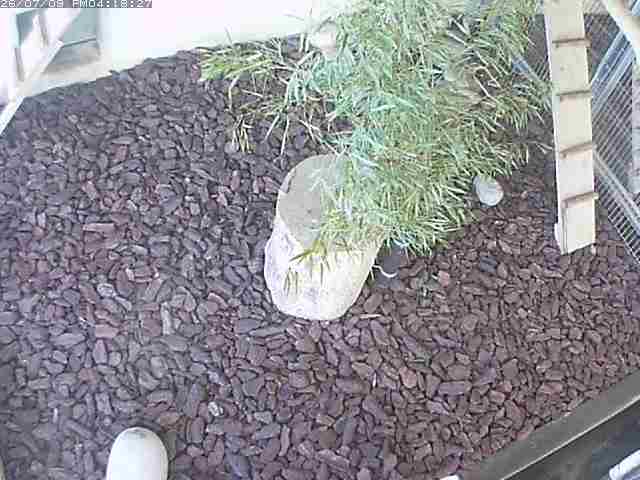 Snapshot from 58.94.98.44