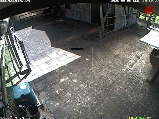 Screenshot from 37.81.71.36:82