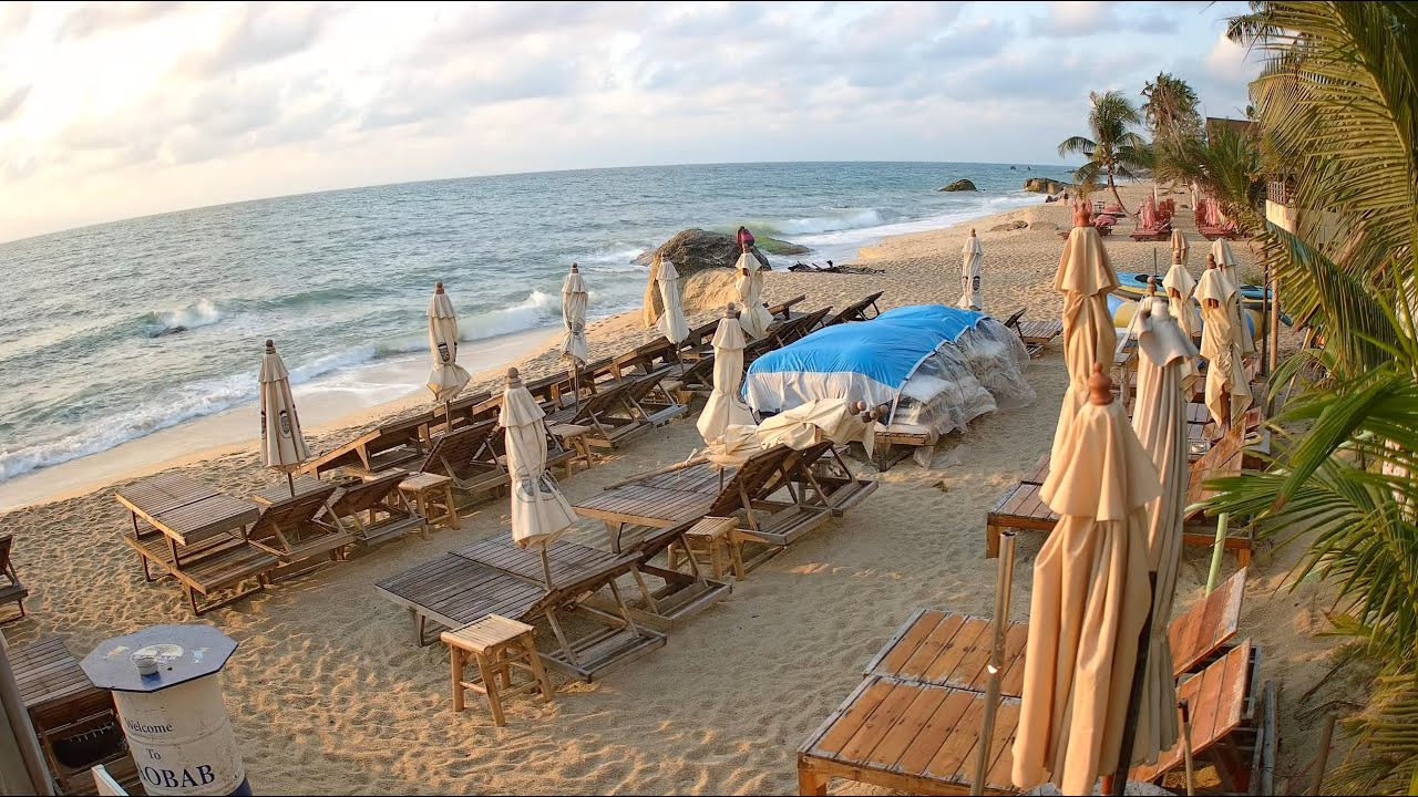 Thumbnail for Baobab  Lamai Beach (Koh Samui, Thailand)