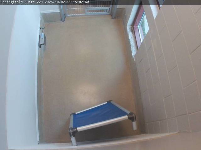 Screenshot from 98.191.243.235:9226