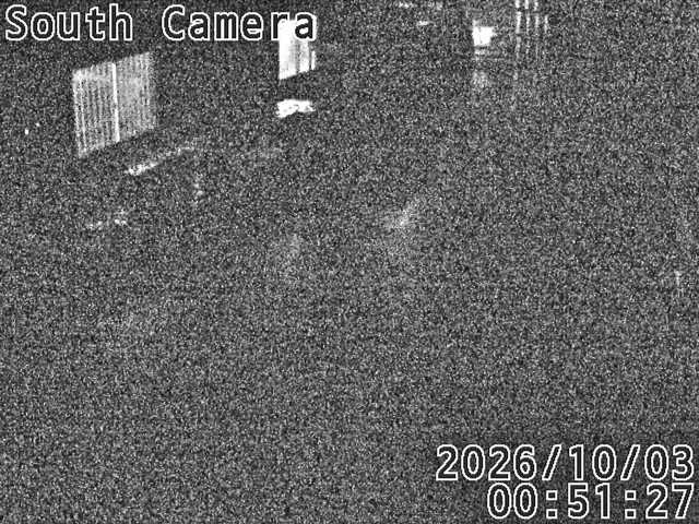 Screenshot from 113.37.43.194:9001