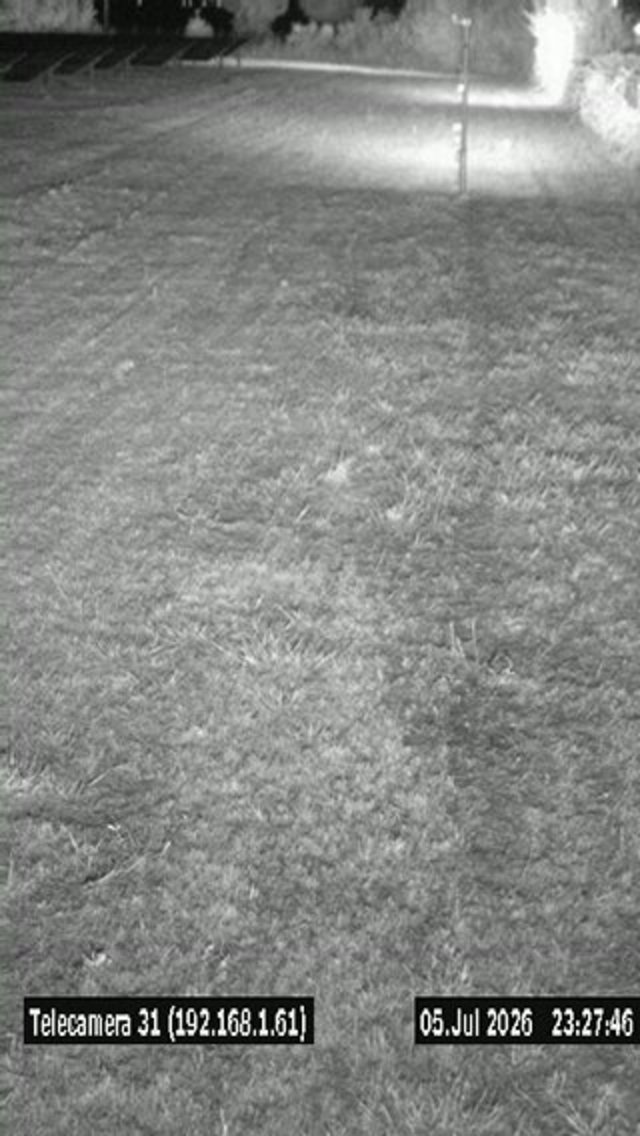 Screenshot from 212.110.9.45:8131
